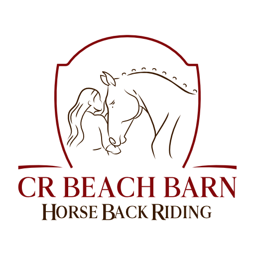 CR Beach Barn – Will is to grace as the horse is to the rider